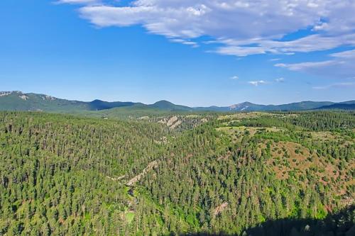 an aerial view of a forest with mountains in the background at Stratobowl Escape in Keystone
