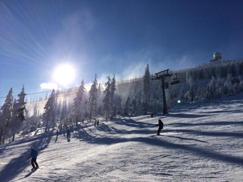 a group of people skiing down a snow covered slope at Haus Bergblick in Lindberg