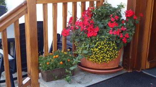 two large pots of flowers sitting on a porch at Haus Bergblick in Lindberg