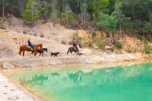 a group of people riding horses and dogs near a body of water at Domosup3rlopez - Glamping Petfriendly con Jacuzzi en Boyacá in Pesca