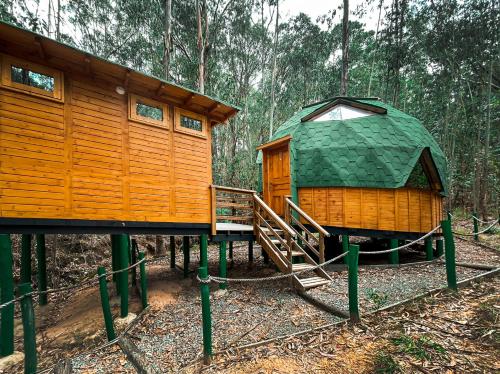 a wooden cabin with a green roof next to a forest at Domosup3rlopez - Glamping Petfriendly con Jacuzzi en Boyacá in Pesca