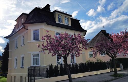 Villa Kreuzbergl - Einzelzimmer