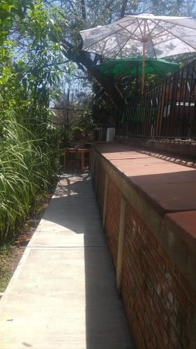 Taman di luar Palmira