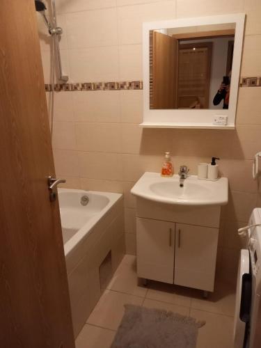 Apartments with parking space Zagreb - 24134