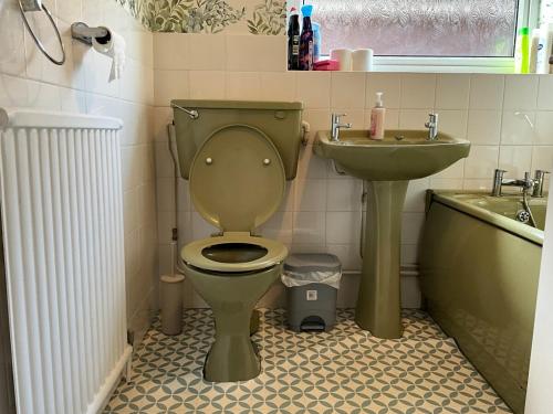 a bathroom with a green toilet and a sink at Sandgate House in Luton