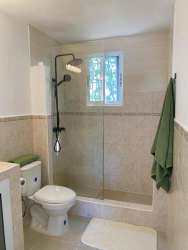 a bathroom with a toilet and a shower with a glass door at Kassuky Home in Cabarete