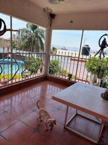 Πισίνα στο ή κοντά στο Casa Vacacional Oaxtepec Morelos
