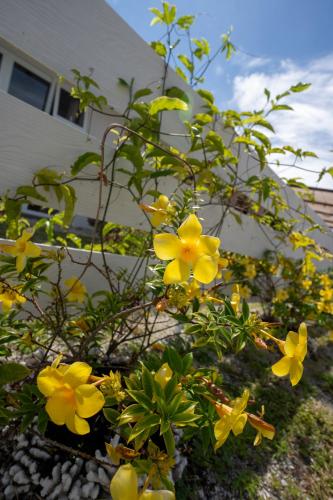 Ein Garten an der Unterkunft Fare Hitimoana