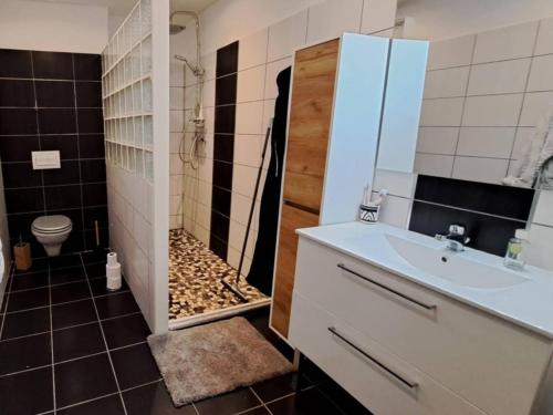 une salle de bain avec une douche avec des toilettes et un lavabo dans l'établissement Maison de village à Marseillan avec ascenseur et terrasse tropézienne - FR-1-326-850, à Marseillan