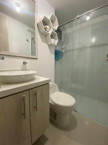 a bathroom with a toilet and a sink and a shower at ApartaSol san Jerónimo in San Jerónimo