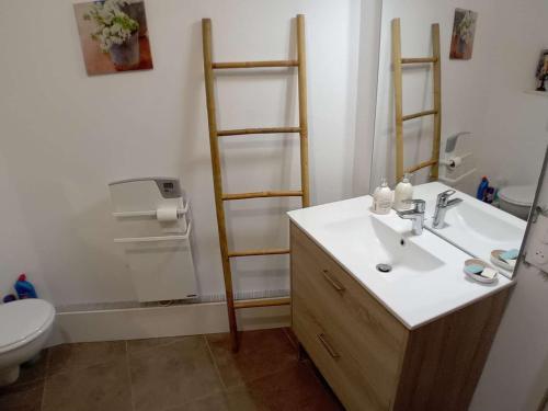 une salle de bain avec un lavabo et des toilettes dans l'établissement Charmant T2 avec Terrasse à Stella Plage, Animaux Acceptés - FR-1-236-165, à Cucq
