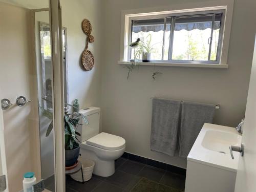 ein Badezimmer mit Toilette und Waschbecken und einem Fenster in der Unterkunft Blue Gate Cottage in Indigo Upper