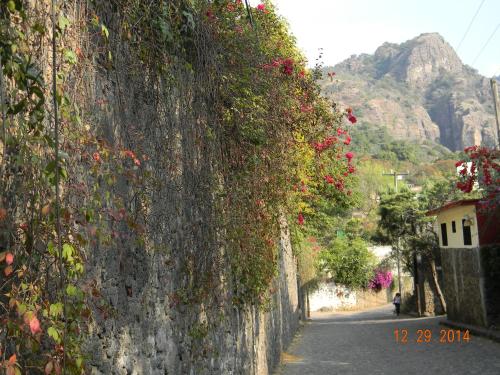 a stone wall covered in flowers and plants at Tubohotel in Tepoztlán