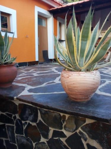 two potted plants are sitting on a stone floor at Your Idyllic Countryside Getaway in Sertã