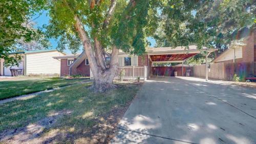 una casa con un árbol delante de una entrada en Cozy Lower Affordable Apartment great for families, en Arvada