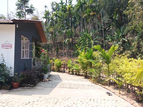 a path leading to a house with a garden at Tympang Chalet Home Stay in Dawki