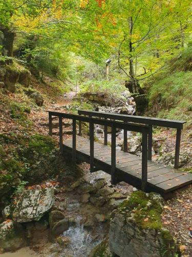 a wooden bridge over a stream in a forest at Charming House Near Hajla Peak - Rugove in Peje