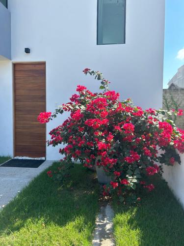 Fotografie z fotogalerie ubytování El Jardín Escondido Ixtapa v destinaci Puerto Vallarta