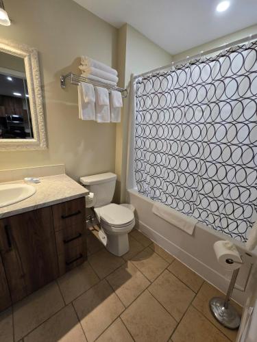a bathroom with a toilet and a shower curtain at Cozy Maison Apt #8 in Gatineau