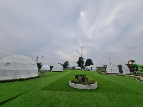Gambar di galeri bagi FarmKO Glamping di Dolores