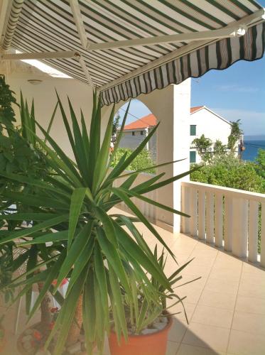 a potted plant sitting on the balcony of a house at Apartments & Rooms Luna in Bol