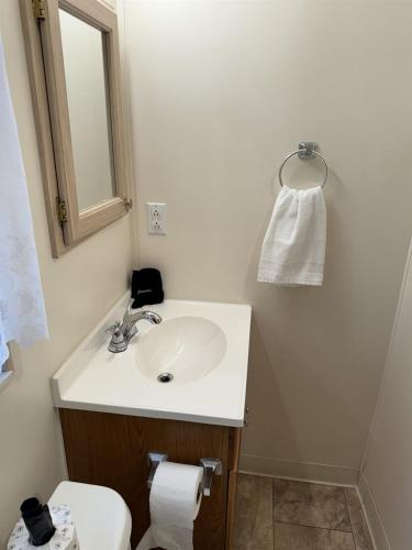 a bathroom with a sink and a toilet at 2BR Retreat with Stunning Mountain Views in Pigeon Forge