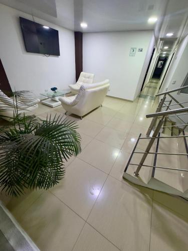 a living room with white furniture and a plant at Hotel Blue in Santa Rosa de Cabal