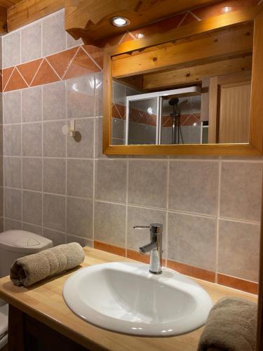 a bathroom with a sink and a mirror and a toilet at Appartement duplex Passy in Passy