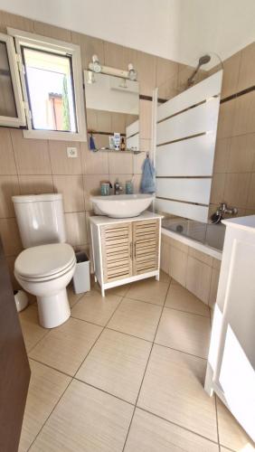une salle de bain avec toilettes et lavabo dans l'établissement Duplex 4-6 p, Terrasses, Piscine, climatisé, Lozari, Corse, à Belgodère