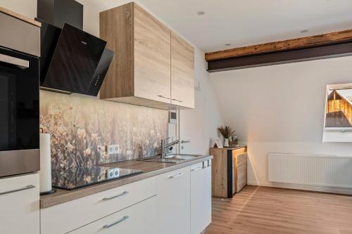 Dapur atau dapur kecil di Fewo Schmidt