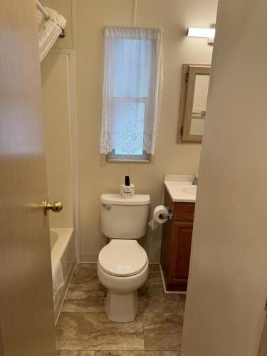 a bathroom with a toilet and a sink and a window at 2BR Retreat with Mountain Views in Pigeon Forge