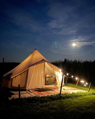 Voedselbos Camping Koperwiek