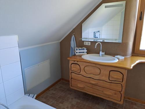 a bathroom with a sink and a mirror at Naturhof-Goldbeck in Klütz