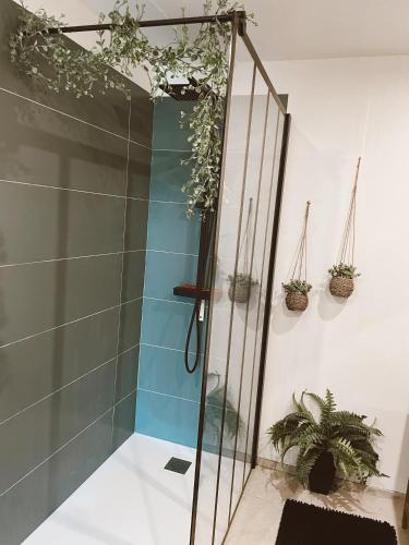 d'une douche avec une porte en verre et des plantes. dans l'établissement Escapade bohème, à Bergerac