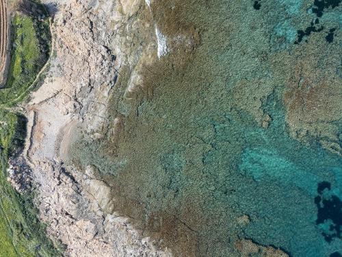 an aerial view of the ocean and the beach at Villa Aya - Coastal Villa, Minimalist Elegance by etouri in Stavromenos