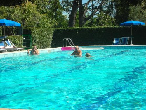 a group of people swimming in a swimming pool at B&B Da Pio in Pietrasanta