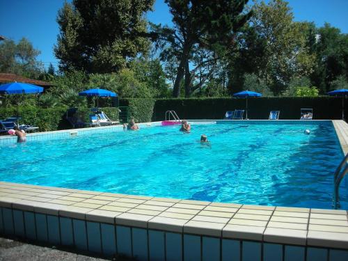 a group of people swimming in a swimming pool at B&B Da Pio in Pietrasanta