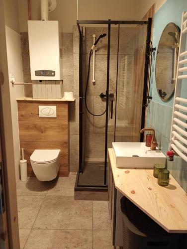 a bathroom with a shower and a toilet and a sink at Apartament Rzewuskiego in Przemyśl