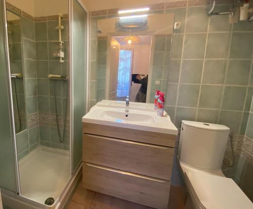 une salle de bain avec un lavabo, une douche et des toilettes dans l'établissement une pépite ZEN et COSY, parking jardin, idéal pour se ressourcer au calme, au Cannet
