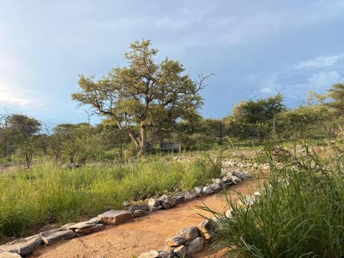 a road with rocks in a field with a tree at Ndefu Self Catering Accommodation in Otjiwarongo