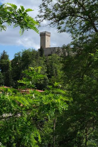 a castle on top of a hill with trees at Torre Antica Montese appartamento 1 in Montese