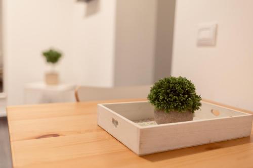Appartamento con 2 Camere da Letto e Terrazza 