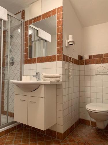 a bathroom with a sink and a toilet and a mirror at Heisshof in Schladming