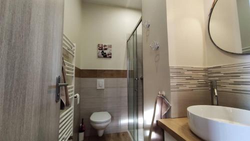 Soultz-Haut-RhinにあるStudio L'epicea Climatisation Sejour Parfaitの洗面台、トイレ、鏡のあるバスルーム