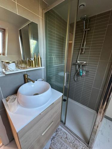 Photo de la galerie de l'établissement Maison avec piscine, à La Chapelle-Saint-Aubin