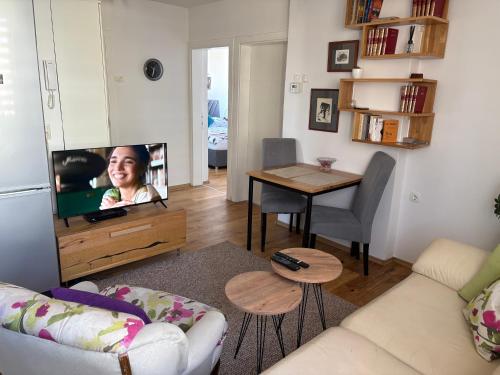 Apartment Mona في سراييفو: غرفة معيشة بها أريكة وجهاز تلفزيون