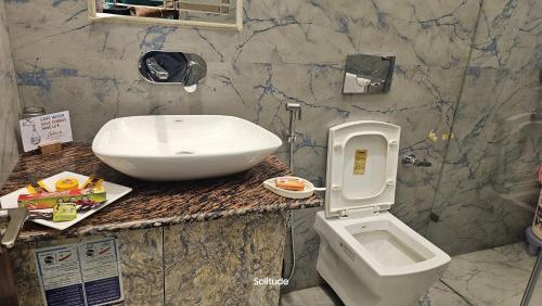 a bathroom with a sink and a toilet at Solitude, The Boutique Hotel in Haldwāni