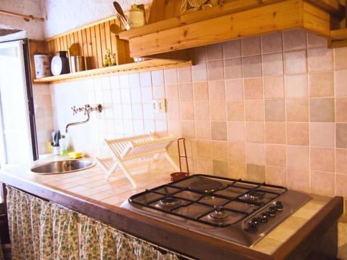 a kitchen with a stove top oven next to a sink at B&B Levigliani in Levigliani