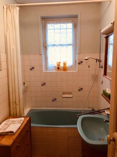La salle de bains est pourvue d'une baignoire verte et d'une fenêtre. dans l'établissement Maison familiale jardin wifi 17km Beauval, à Villentrois