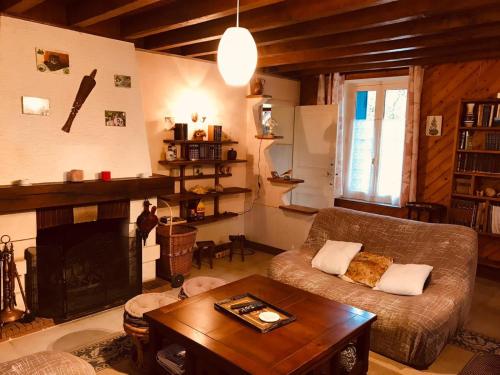 un salon avec un canapé et une cheminée dans l'établissement Maison familiale jardin wifi 17km Beauval, à Villentrois